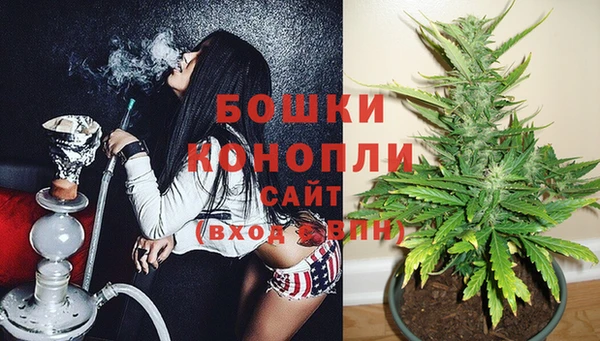 spice Аркадак