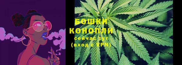 spice Аркадак