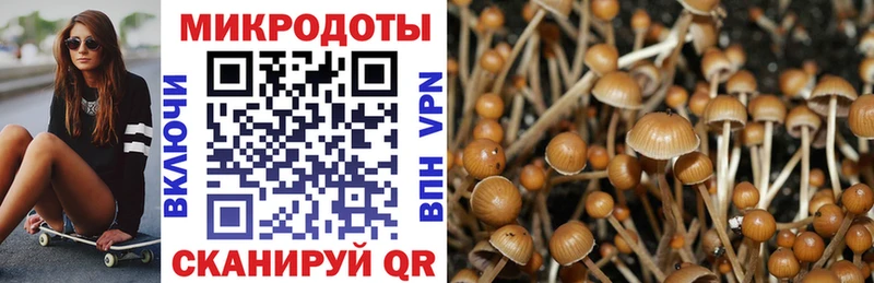где продают   Константиновск  Галлюциногенные грибы ЛСД 